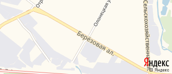 Берёзовая аллея на Яндекс карте