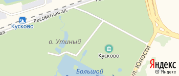 Дворцовый проезд на Яндекс карте