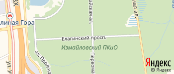 Елагинский проспект на Яндекс карте