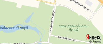 Кузьминская улица на Яндекс карте
