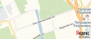 Лиственничная аллея на Яндекс карте