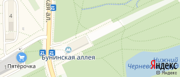 метро Бунинская аллея на Яндекс карте