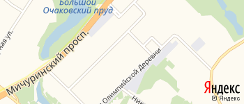 Олимпийская Мичуринский Проспект Деревня на Яндекс карте