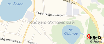 район Косино-Ухтомский на Яндекс карте