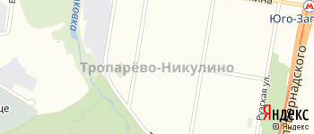 район Тропарёво-Никулино на Яндекс карте