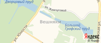 район Вешняки на Яндекс карте