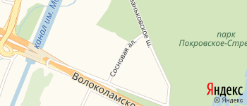 Сосновая аллея на Яндекс карте