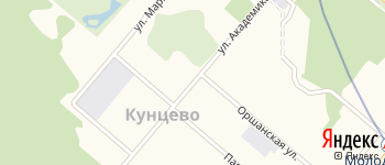 улица Академика Павлова на Яндекс карте