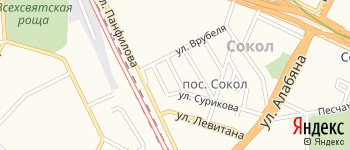 улица Брюллова на Яндекс карте