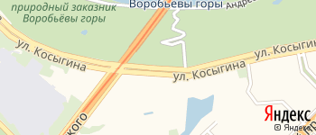 улица Косыгина на Яндекс карте