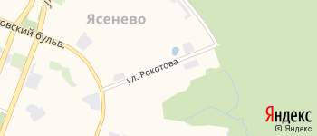 улица Рокотова на Яндекс карте