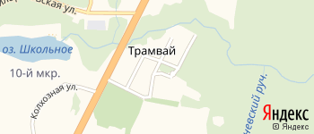 улица Щербакова на Яндекс карте