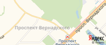 улица Удальцова на Яндекс карте