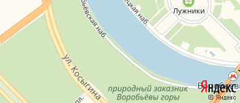 Воробьевская набережная на Яндекс карте